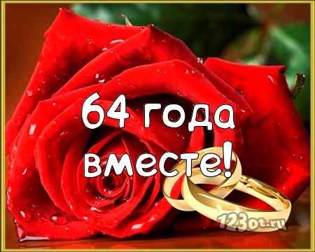 С годовщиной свадьбы 64 года! Милая, оригинальная, трогательная открытка, картинка! скачать открытку бесплатно | 123ot